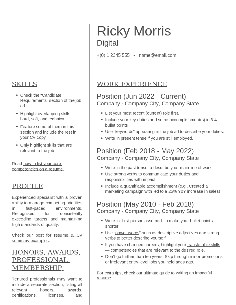 CV Template Administrator preview